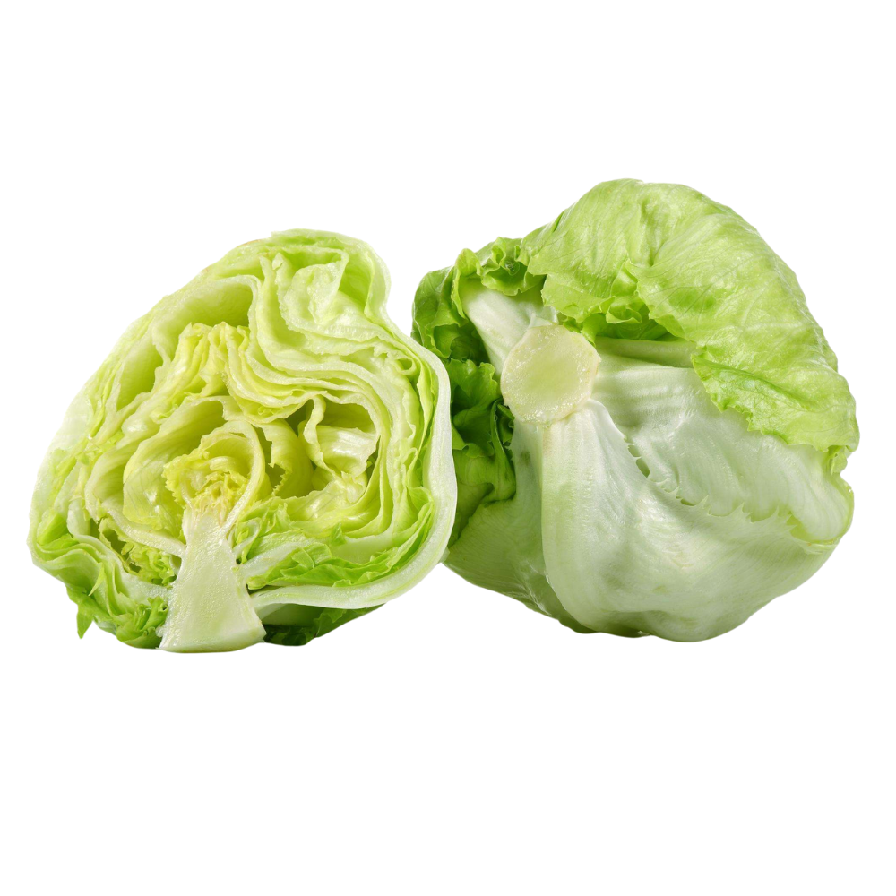 Lettuce Iceberg (Open Leaf Variety)