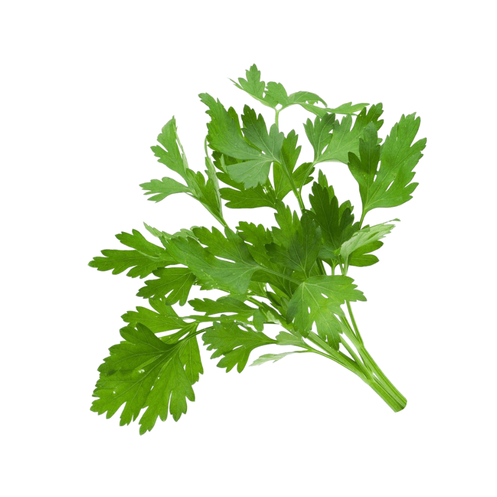 Parsley - Hydroponically Grown, 100 g