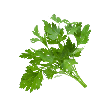 Parsley - Hydroponically Grown, 100 g