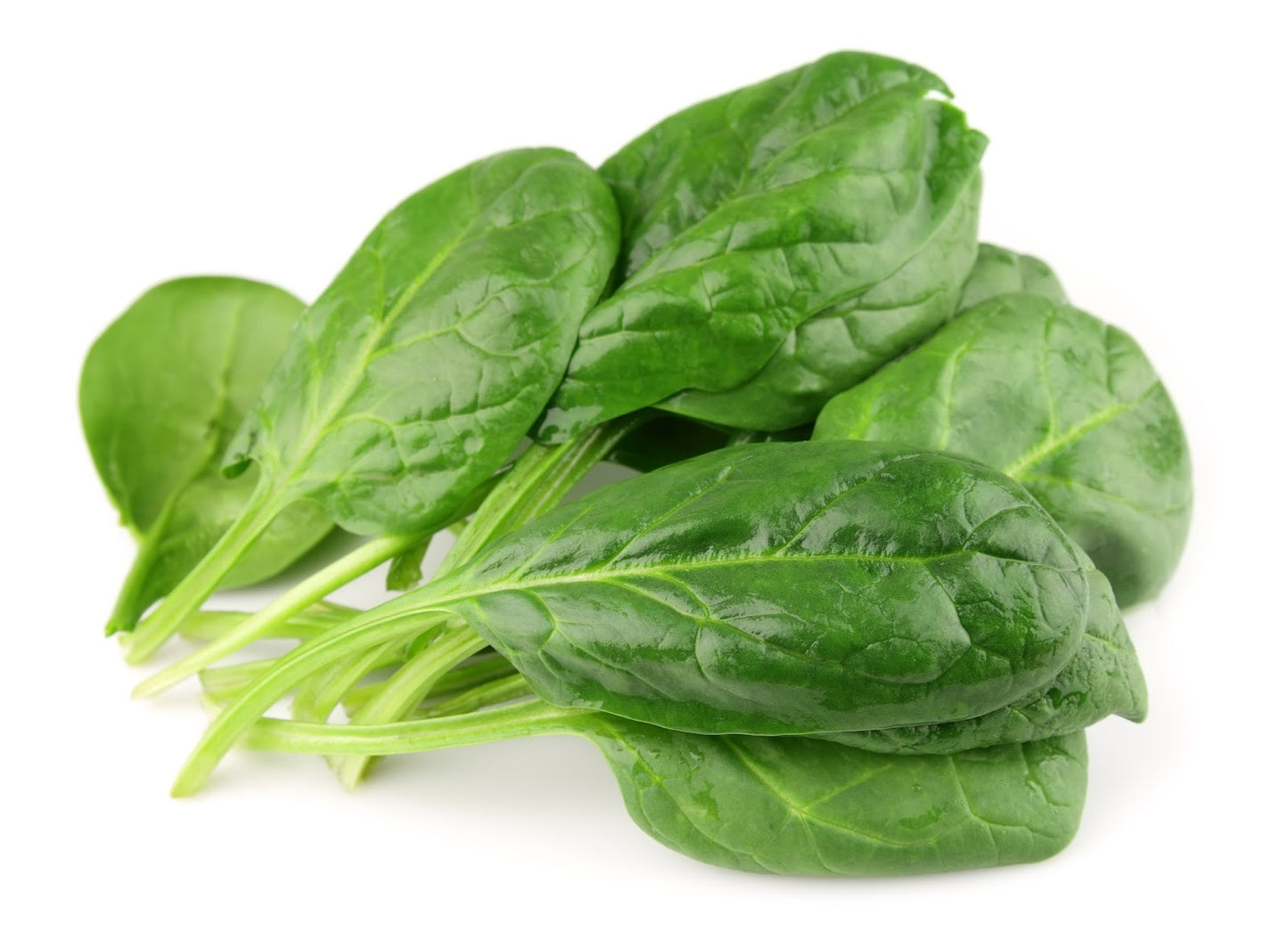 Baby Spinach - Hydroponically Grown, 100 g