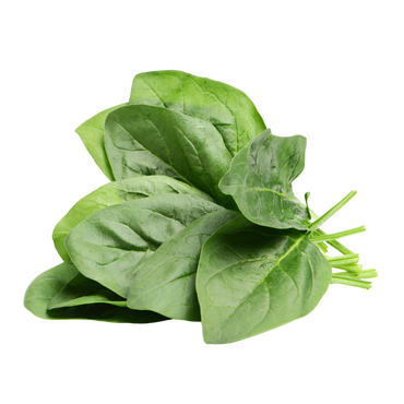 Spinach Hydroponically Grown
