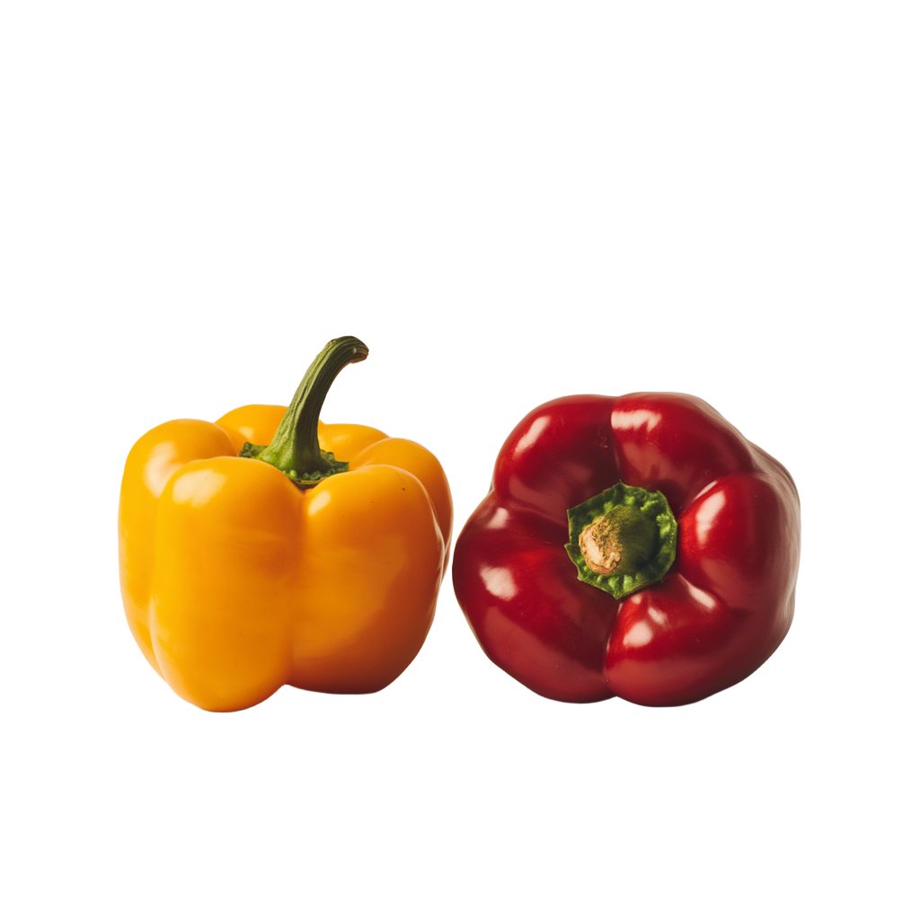 Capsicum Yellow & Red (Loose, 1-1 Pics, Hydroponically Grown)
