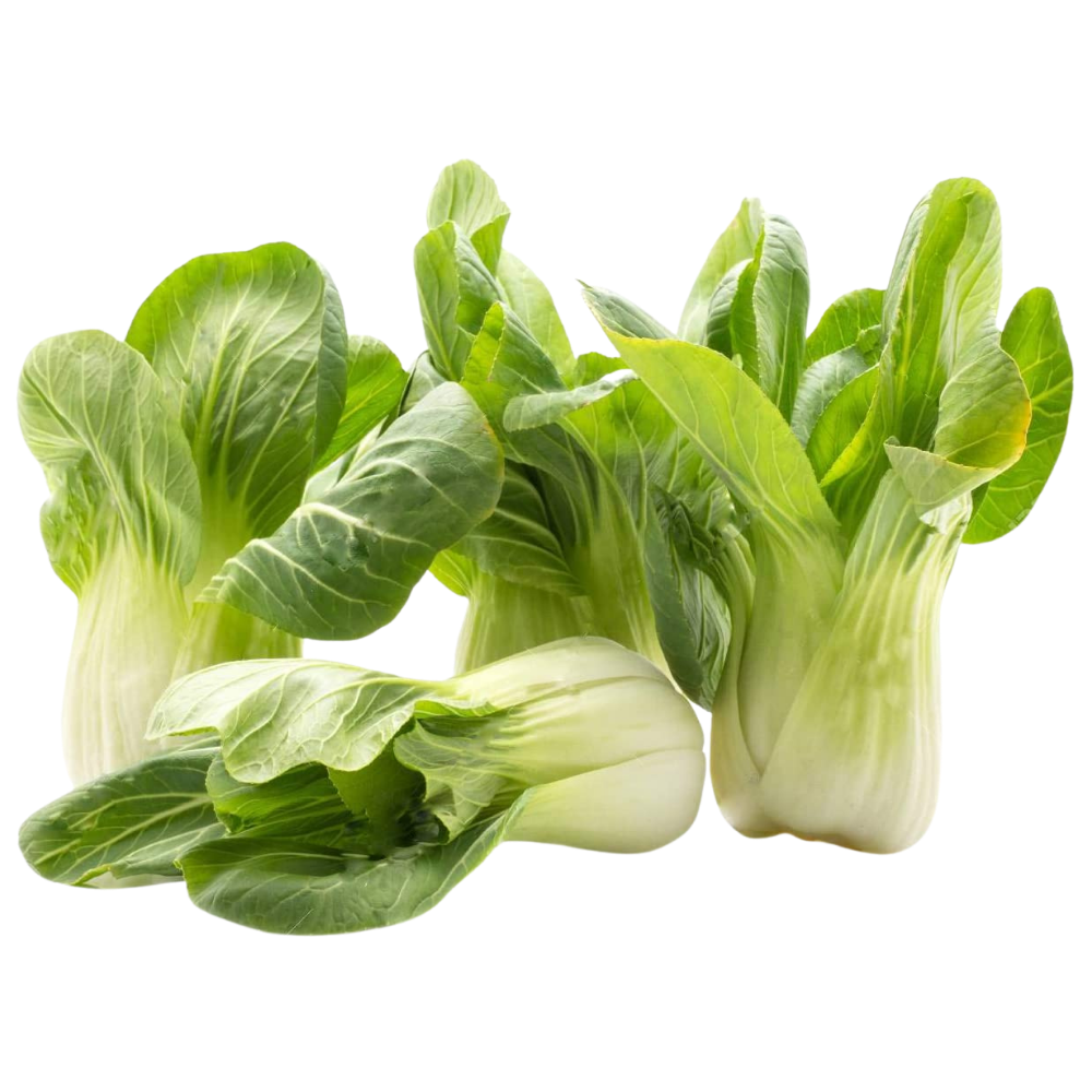 Bok Choy Hydroponically Grown, 125 to 200 g
