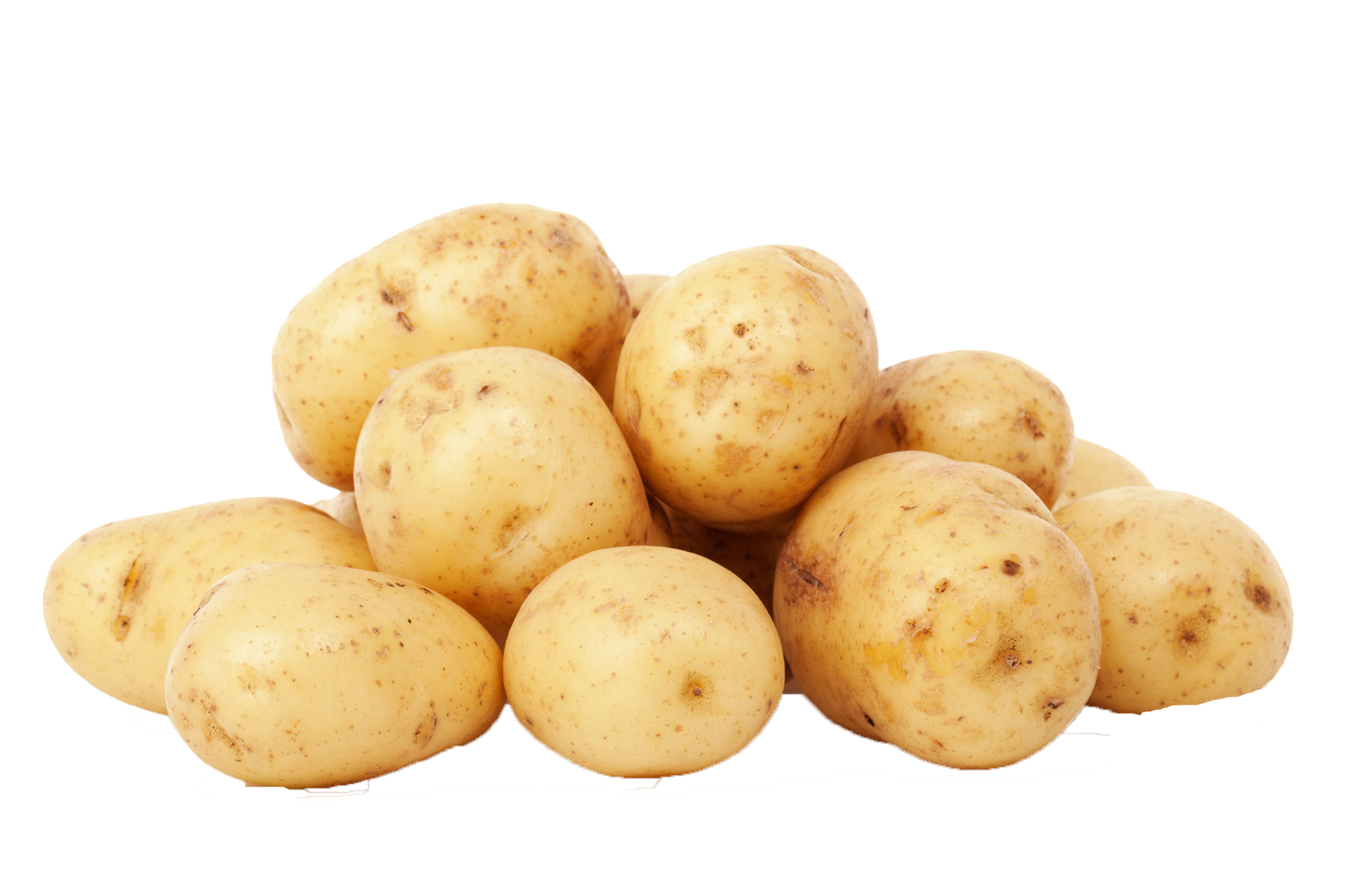 Potato