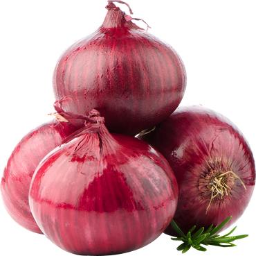 Onion 5 KG