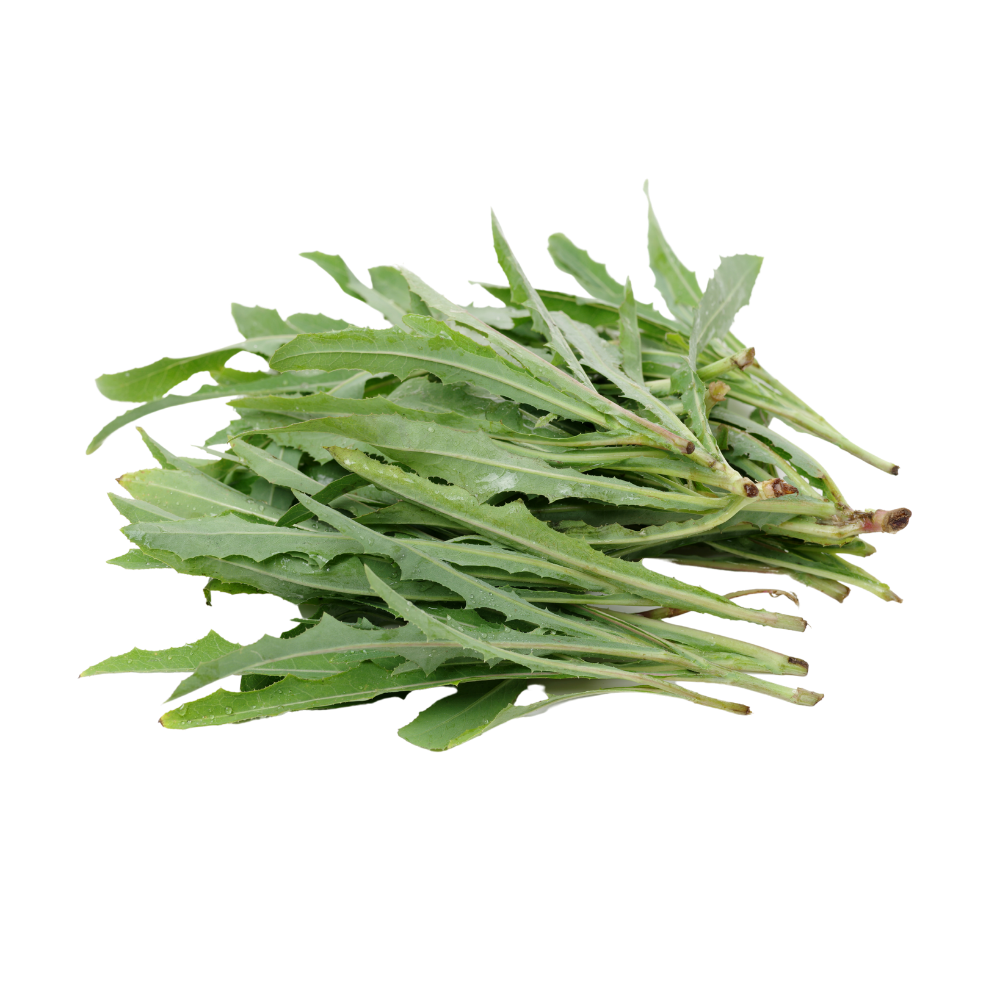 Arugula (Rocket) - Hydroponically Grown, 50 g – Vexotics