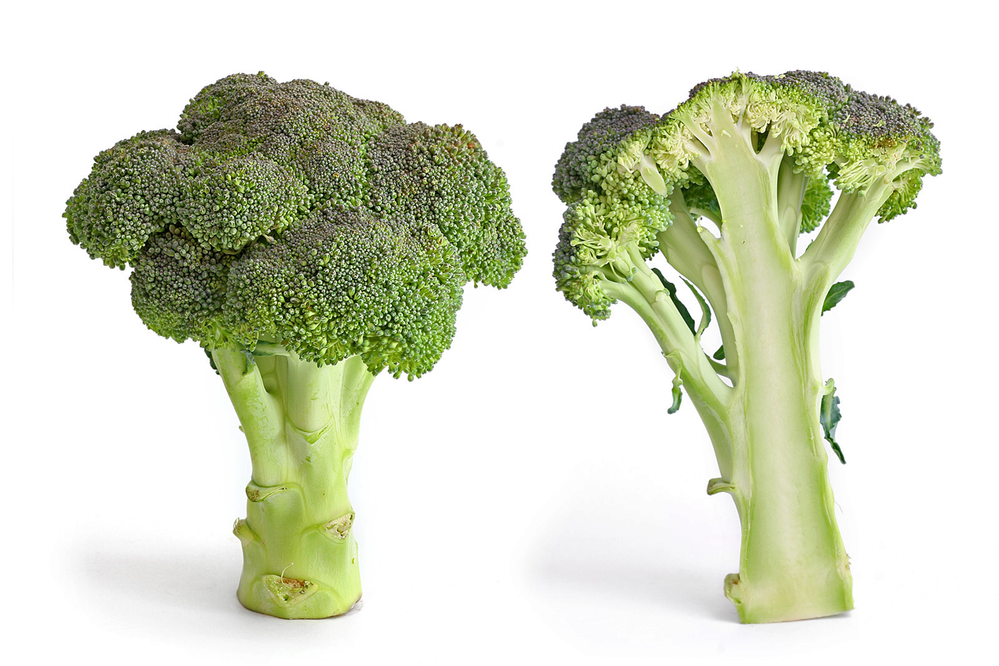 Broccoli 1 Pc