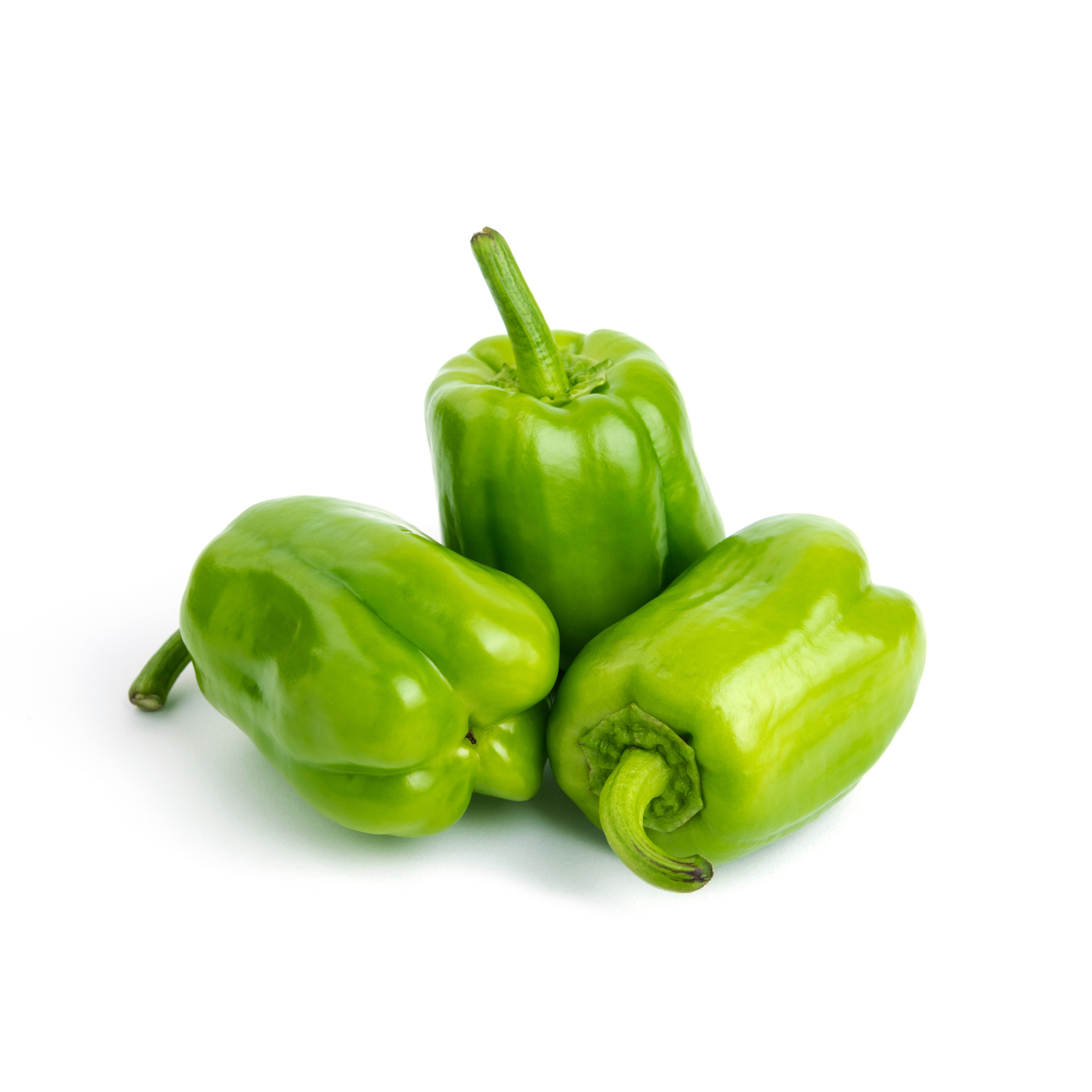 Capsicum