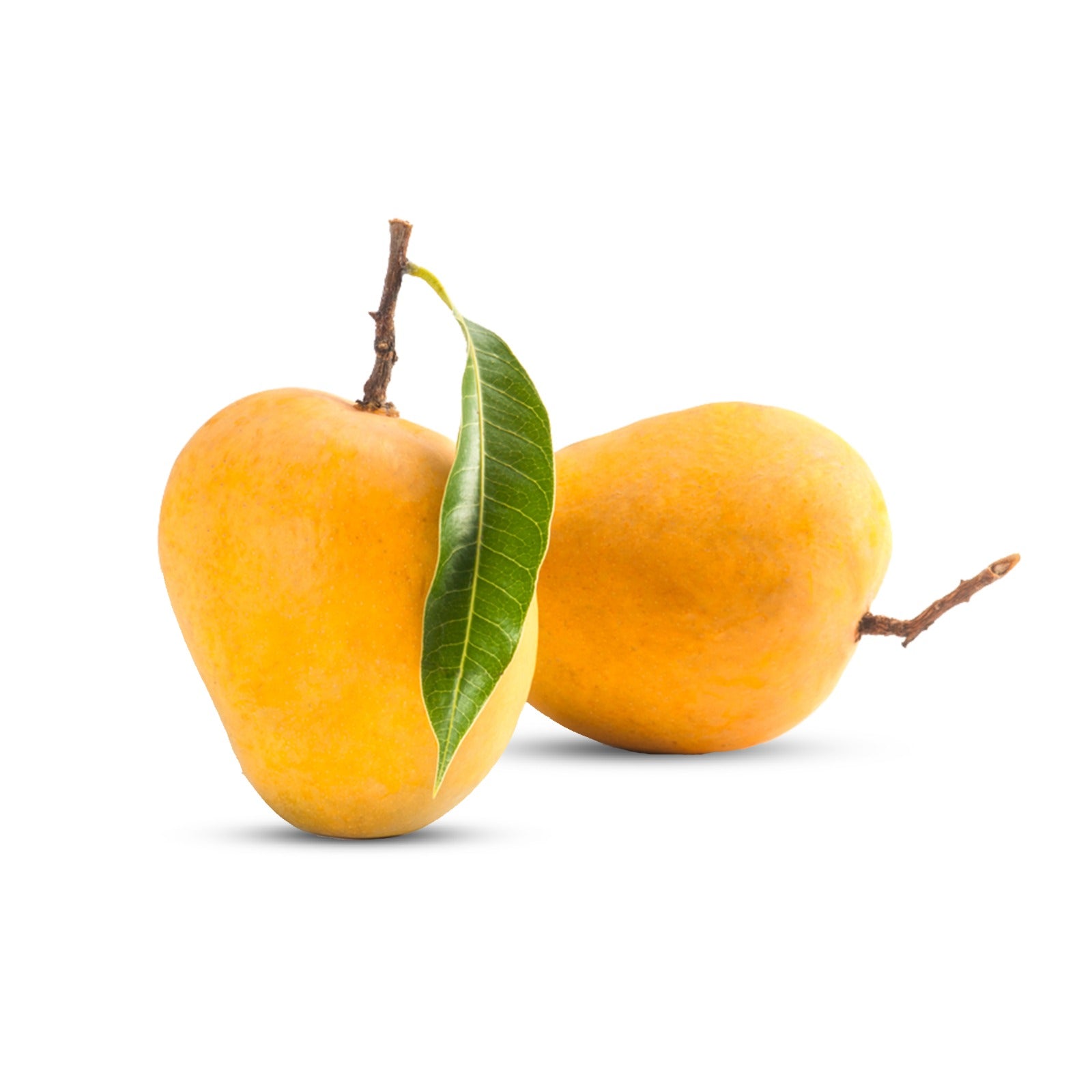 Mango Kesar