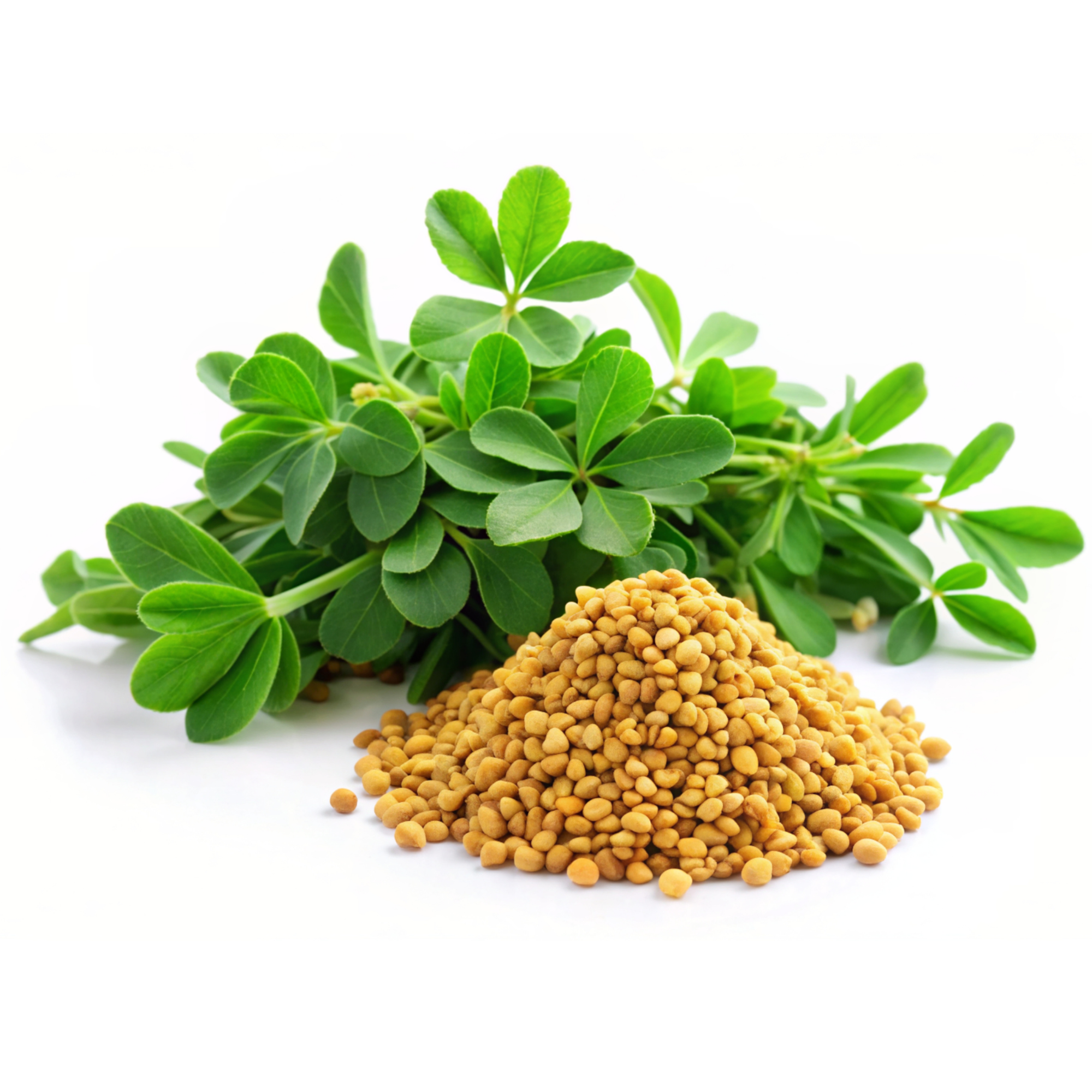 Methi
