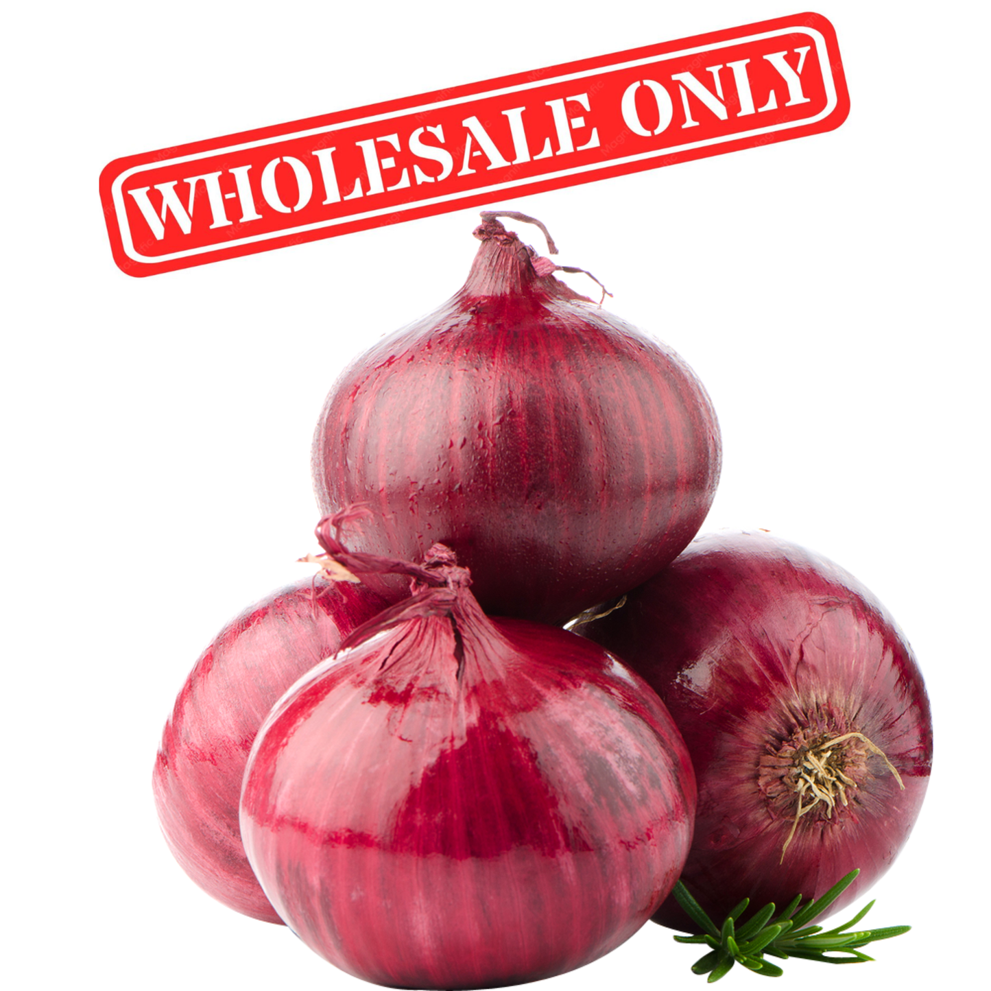 Onion 5 KG