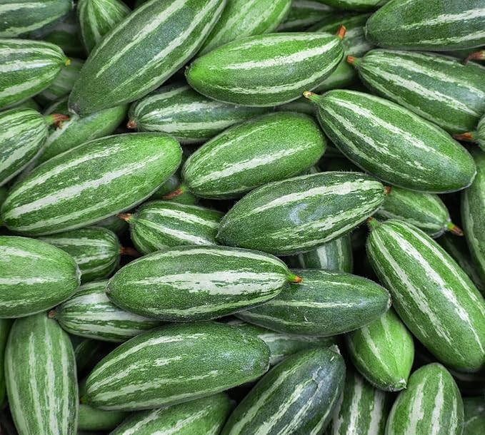 Pointed gourd/ Parwal