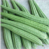 Ridge Gourd/ Turya (500gm)