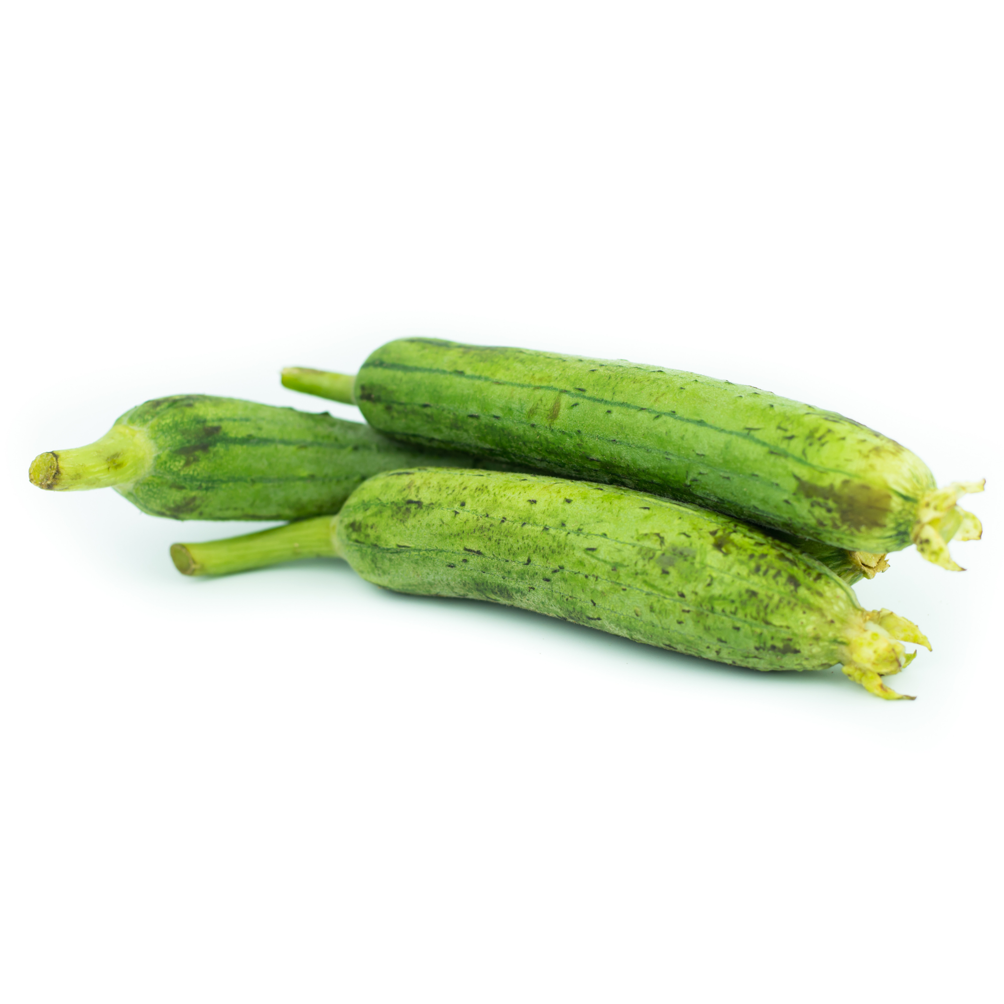 Sponge gourd/ Turya