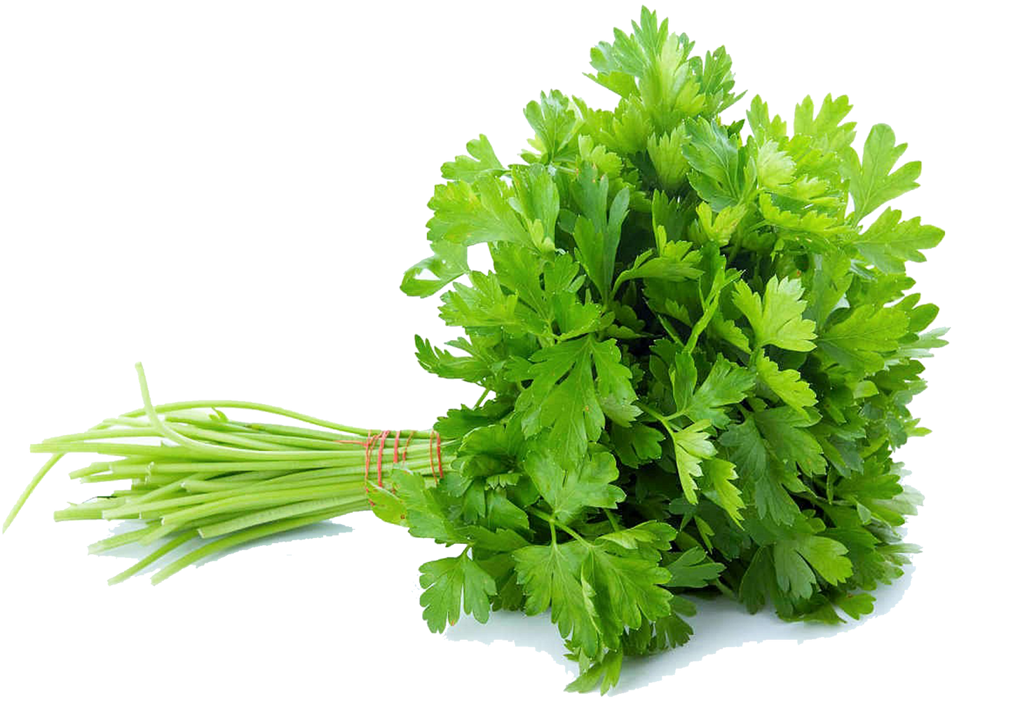Coriander (100gm)