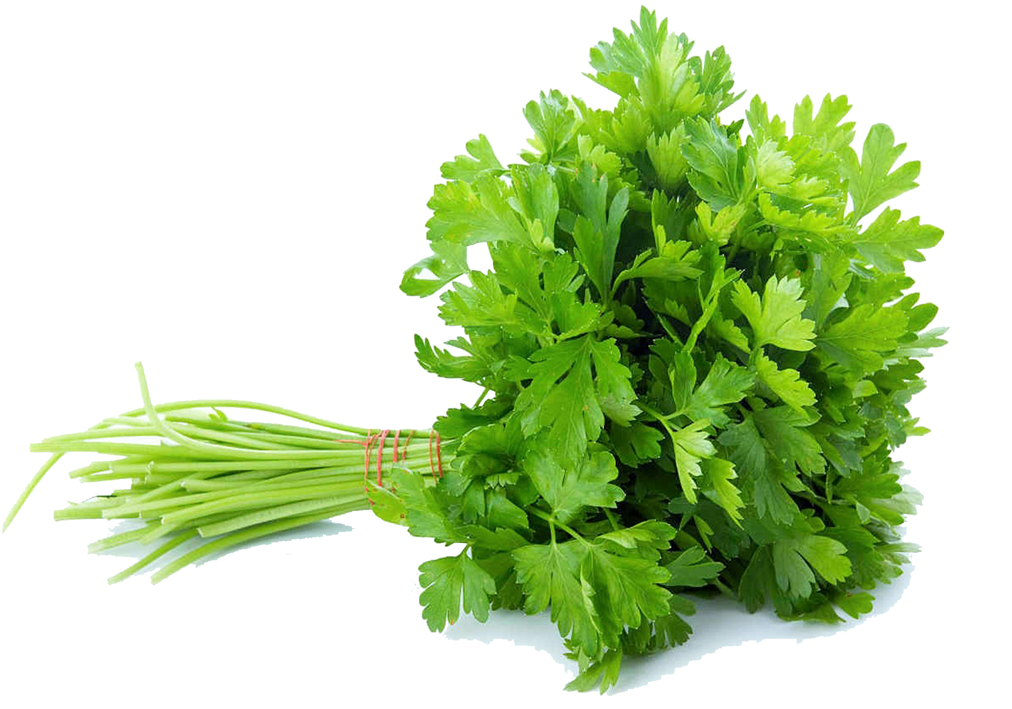 Coriander (100gm)
