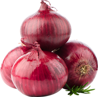 Onion 5 KG