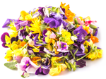 Mix-Edible-Flowers